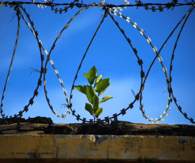 Your Journey from Fear to Freedom in business